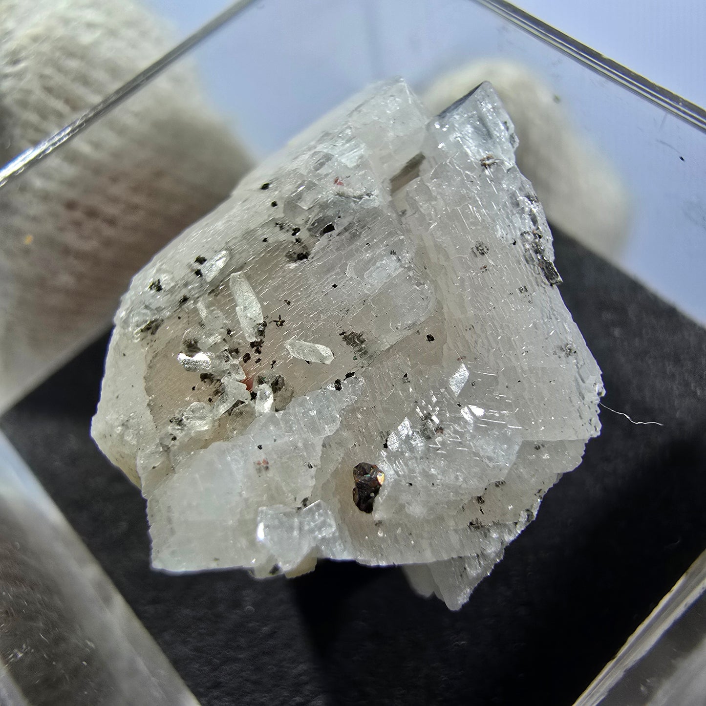 TOP Micromount Mineralien Sammlung Deutschland - 8 Stück Deutschland #8083