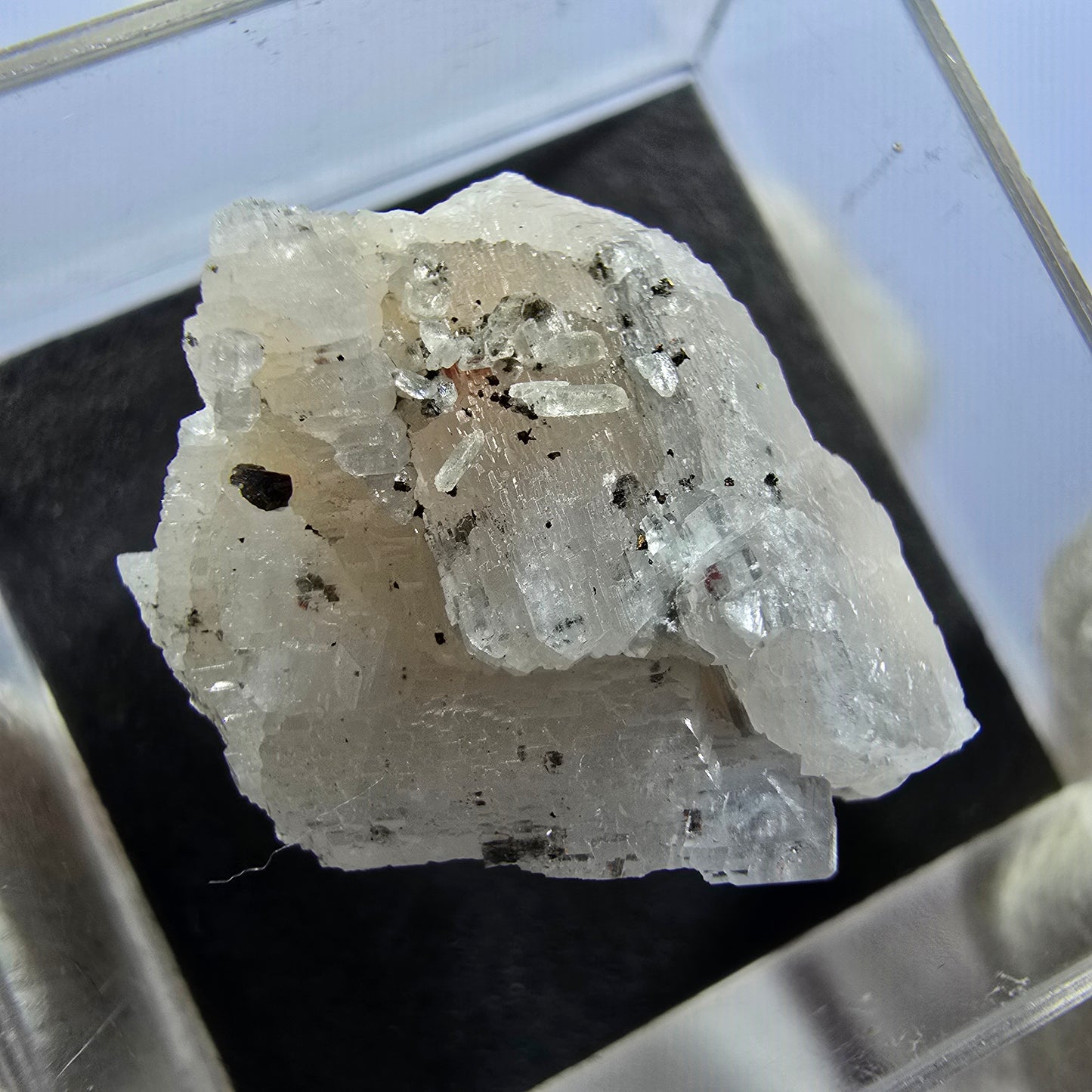 TOP Micromount Mineralien Sammlung Deutschland - 8 Stück Deutschland #8083