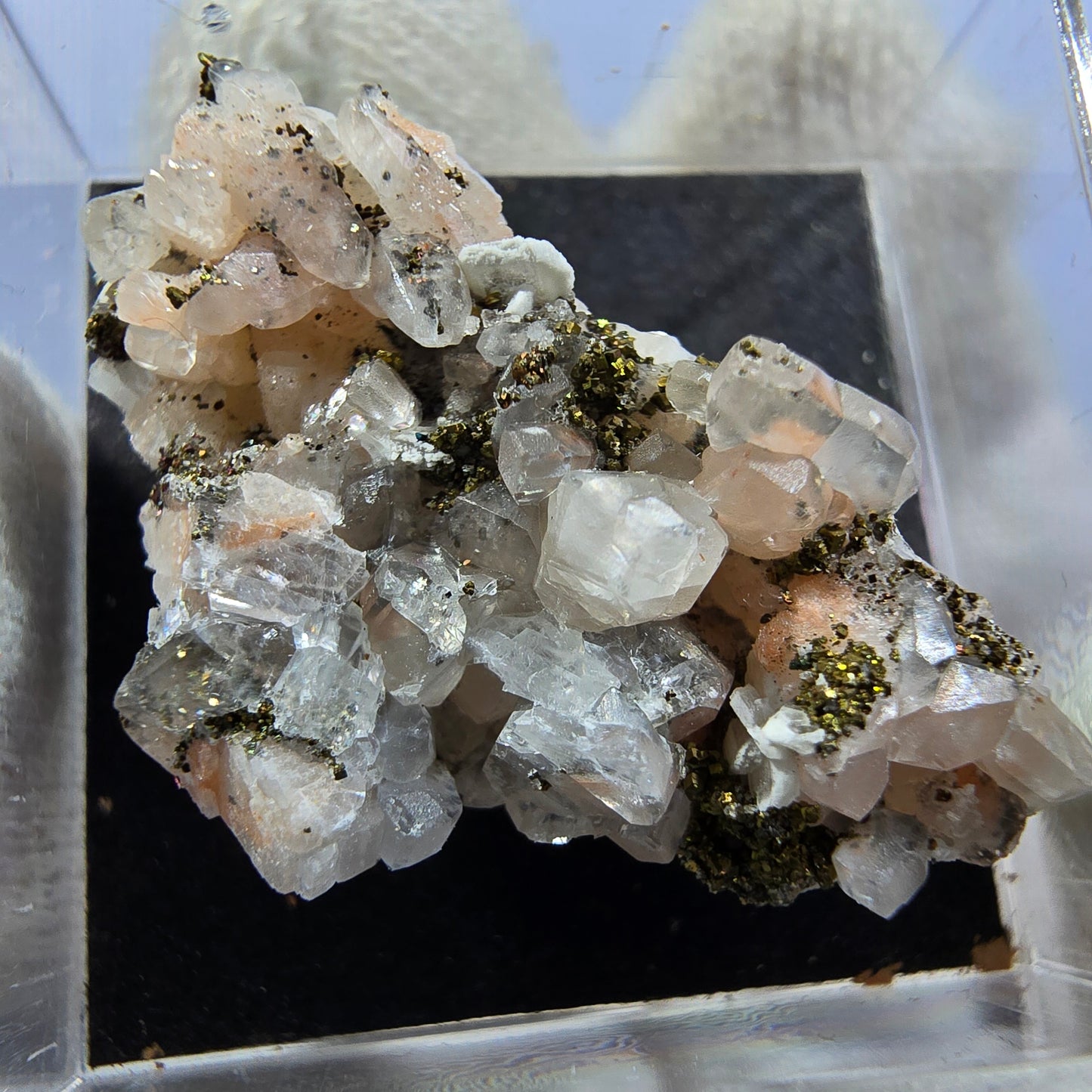TOP Micromount Mineralien Sammlung Deutschland - 8 Stück Deutschland #8084