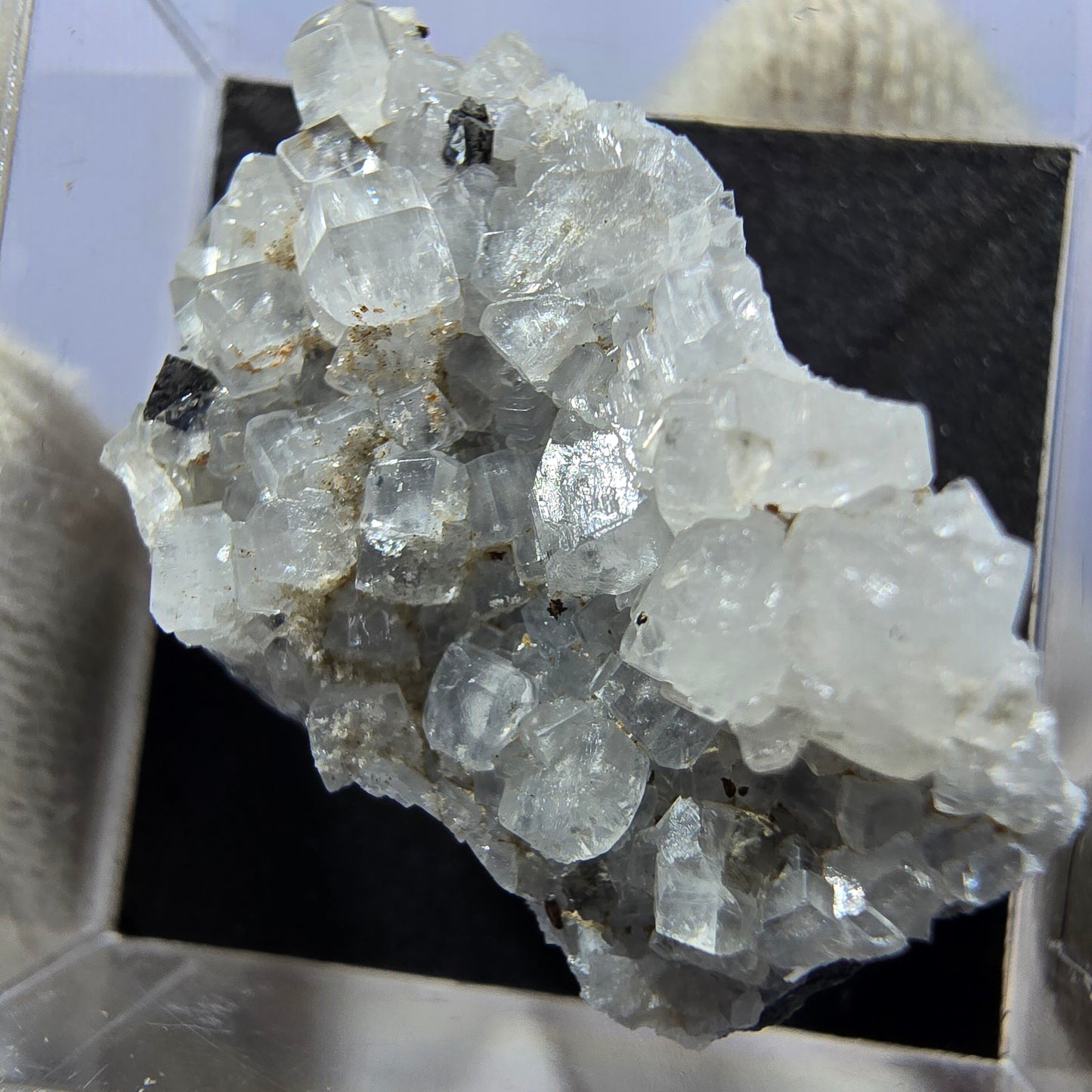 TOP Micromount Mineralien Sammlung Deutschland - 8 Stück Deutschland #8085