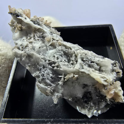 Collection de minéraux Micromount TOP Allemagne - 8 pièces Allemagne #8086