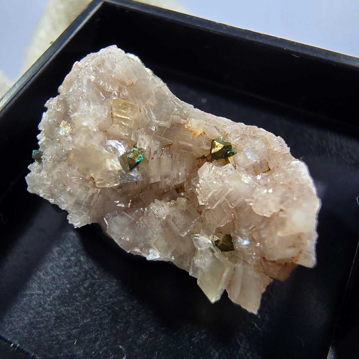 TOP Micromount Mineralien Sammlung Deutschland - 8 Stück Deutschland #8087