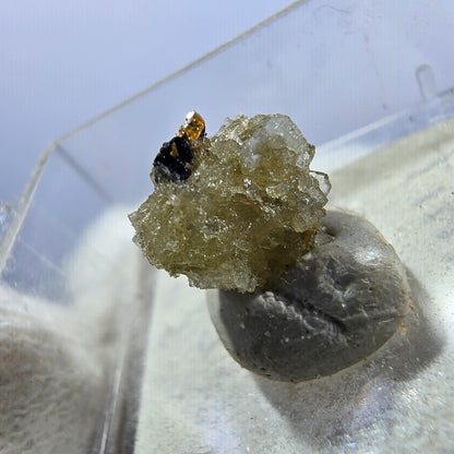 TOP Micromount Mineralien Sammlung Deutschland - 8 Stück Deutschland #8092