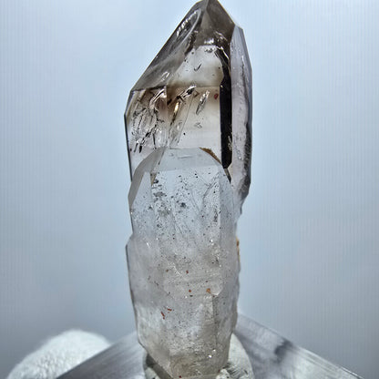 Sceptre Enhydro Phantom Smoky Quartz DT, 2x Bubble Goboboseb, Namibie 42 x 12 x 13 mm 