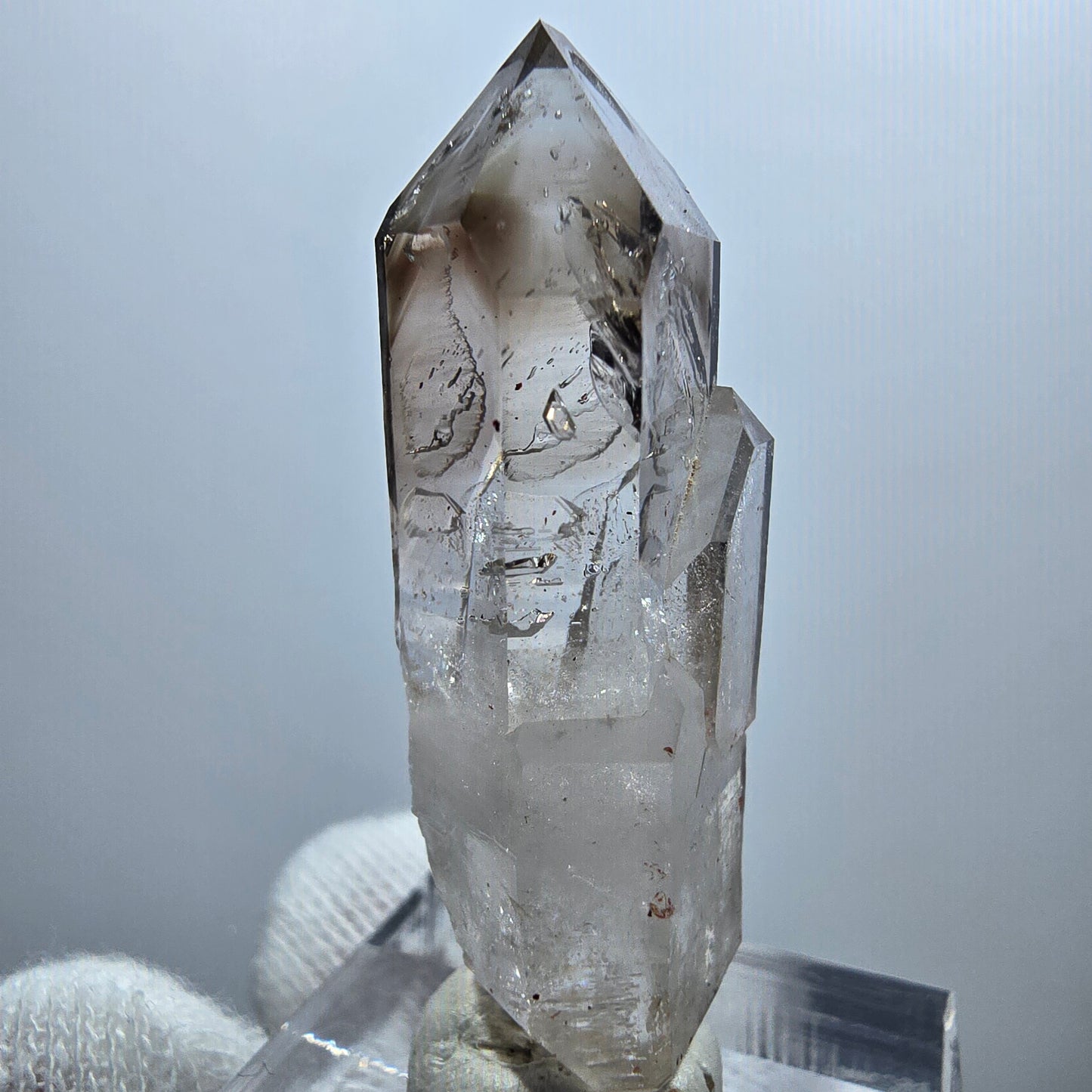 Sceptre Enhydro Phantom Smoky Quartz DT, 2x Bubble Goboboseb, Namibie 42 x 12 x 13 mm 