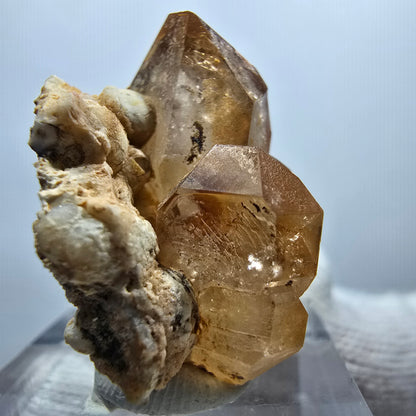 Enhydro Phantom Rauchquarz DT Zepter Stufe, 1x Blase Goboboseb, Namibia 29*23*16mm