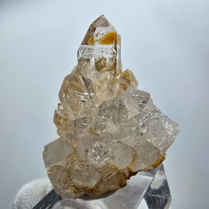 Enhydro Phantom Rauchquarz Zepter Stufe, 2x Blase Goboboseb, Namibia 51*42*29mm
