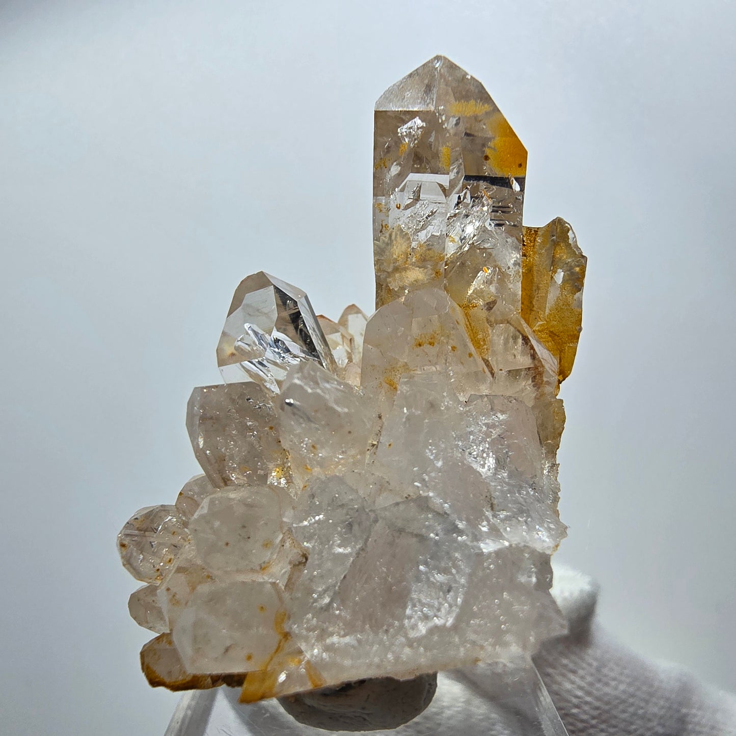 Enhydro Phantom Rauchquarz Zepter Stufe, 2x Blase Goboboseb, Namibia 51*42*29mm