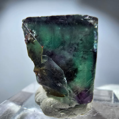 Rare cube de fluorite fantôme, vert violet zonal Okorusu, Namibie 21*21*14 mm 