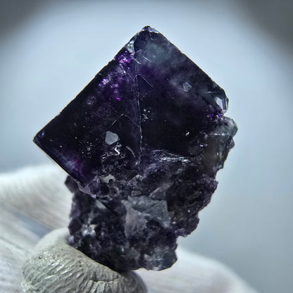 Spécimen rare de cube de fluorite fantôme, vert zonal et violet, Okorusu, Namibie, 25 x 18 x 14 mm 