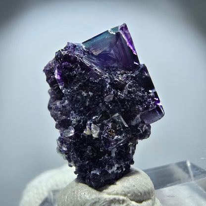 Spécimen rare de cube de fluorite fantôme, vert zonal et violet, Okorusu, Namibie, 25 x 18 x 14 mm 