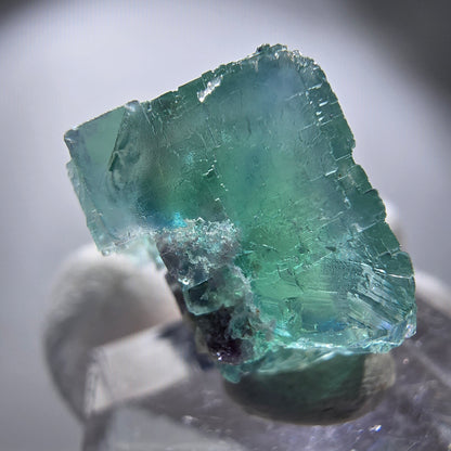Rare spécimen de cube de fluorite fantôme, vert Okorusu, Namibie 24 x 23 x 17 mm 