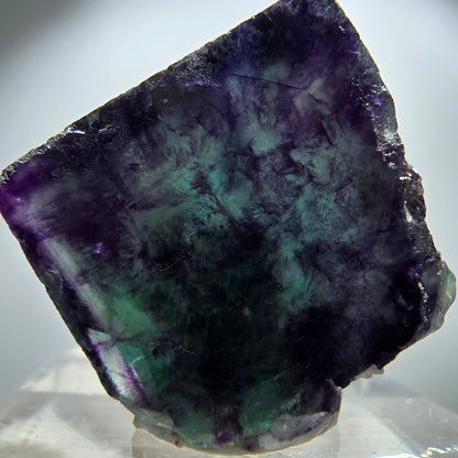 Spécimen rare de cube de fluorite fantôme, vert zonal et violet, Okorusu, Namibie, 26 x 24 x 15 mm 