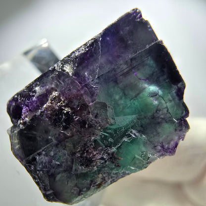 Spécimen rare de cube de fluorite fantôme, vert zonal et violet, Okorusu, Namibie, 26 x 24 x 15 mm 
