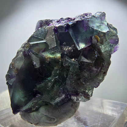 Spécimen rare de cube de fluorite fantôme, vert zonal et violet, Okorusu, Namibie, 38 x 30 x 24 mm 