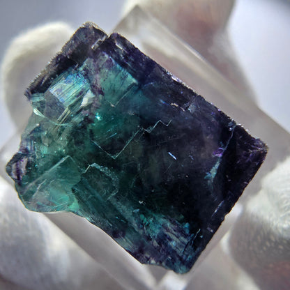Spécimen rare de cube de fluorite fantôme, vert zonal et violet, Okorusu, Namibie, 23 x 18 x 14 mm 