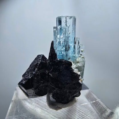 Seltener Aquamarin X mit Schörl Turmalin Erongo, Namibia 26*20*12mm