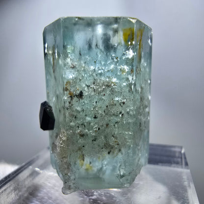 Seltener Aquamarin X mit Schörl Turmalin Erongo, Namibia 22*18*16mm