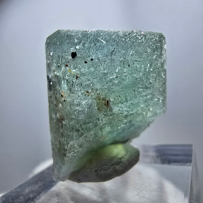 Seltener Aquamarin X mit Schörl Turmalin Erongo, Namibia 25*21*17mm