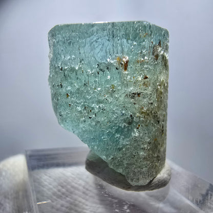 Seltener Aquamarin X mit Schörl Turmalin Erongo, Namibia 25*21*17mm