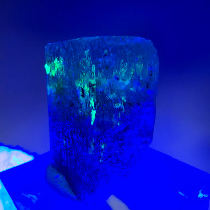 Seltener Aquamarin X mit Schörl Turmalin Erongo, Namibia 25*21*17mm