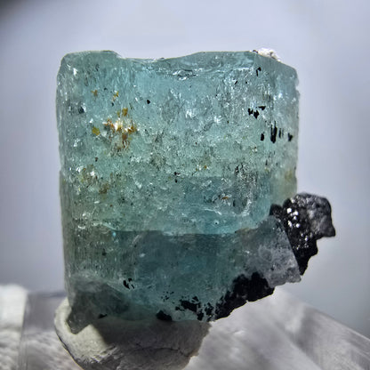 Seltener Aquamarin X mit Schörl Turmalin Erongo, Namibia 26*25*20mm