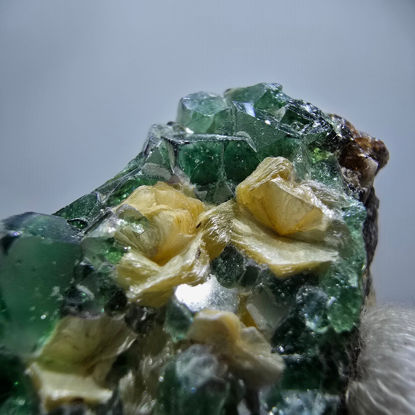 Rare Phantom Fluorite Cubes, Muscovite Specimen Erongo, Namibia 51*31*24mm 