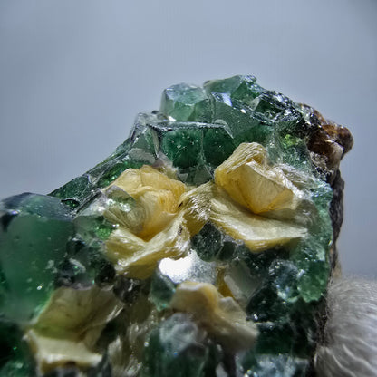 Rare Phantom Fluorite Cubes, Muscovite Specimen Erongo, Namibia 51*31*24mm 