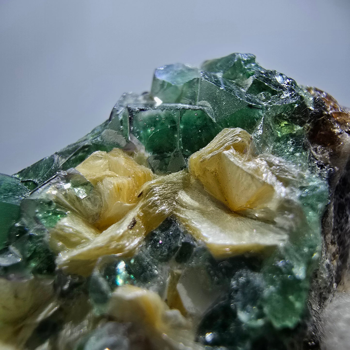 Rare Phantom Fluorite Cubes, Muscovite Specimen Erongo, Namibia 51*31*24mm 