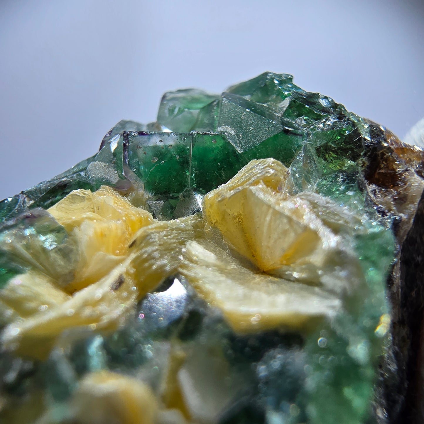Rare Phantom Fluorite Cubes, Muscovite Specimen Erongo, Namibia 51*31*24mm 
