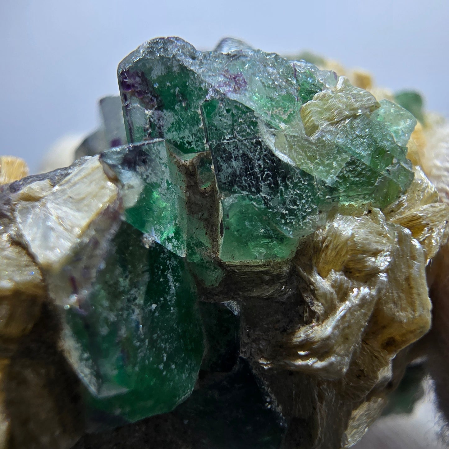 Fluorite fantôme Schörl, tourmaline, calcite, muscovite, stade Erongo, Namibie, 62 x 40 x 38 mm 