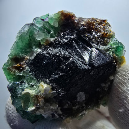 Fluorite fantôme Schörl, tourmaline, calcite, muscovite, stade Erongo, Namibie, 52 x 43 x 34 mm 
