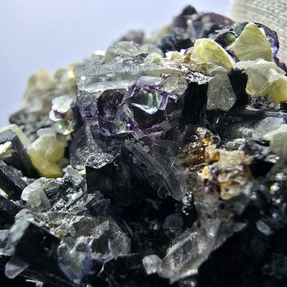 Fluorite fantôme colorée, tourmaline schol, muscovite, quartz fumé, Erongo, Namibie, 99 x 80 x 51 mm 