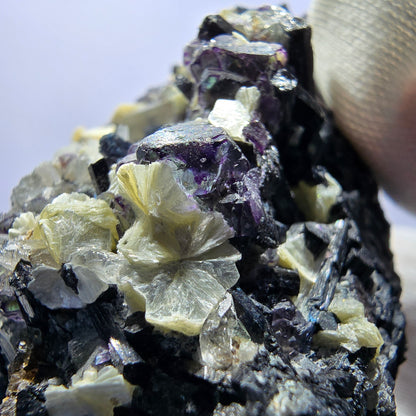 Fluorite fantôme colorée, tourmaline schol, muscovite, quartz fumé, Erongo, Namibie, 99 x 80 x 51 mm 
