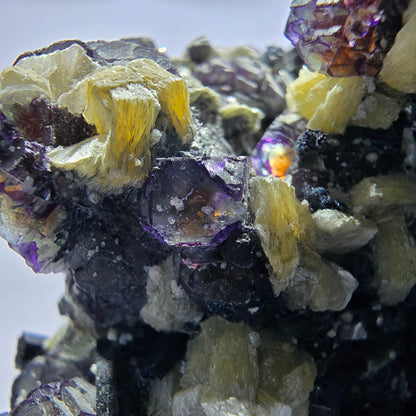 Fluorite fantôme colorée, tourmaline schol, muscovite, quartz fumé, Erongo, Namibie, 99 x 80 x 51 mm 