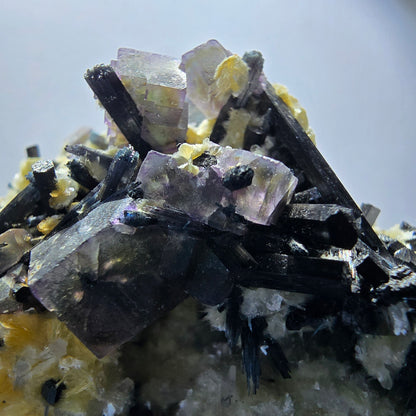 Fluorite fantôme colorée, tourmaline schol, hyalite, quartz fumé, muscovite, Erongo, Namibie, 78 x 70 x 48 mm 