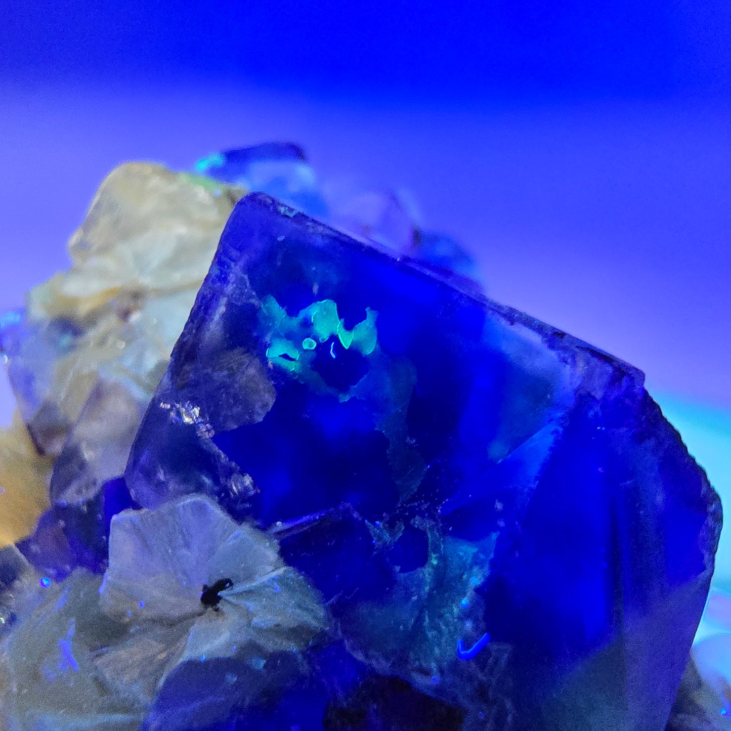 Cubes de fluorite fantôme transparente, muscovite et hyalite, spécimen d'Erongo, Namibie, 46 x 43 x 35 mm 