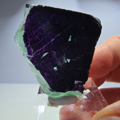Fluorit Würfel Stufe, parkettiert grün lila 11:11 Angel Pocket Okorusu, Namibia 35*31*16mm