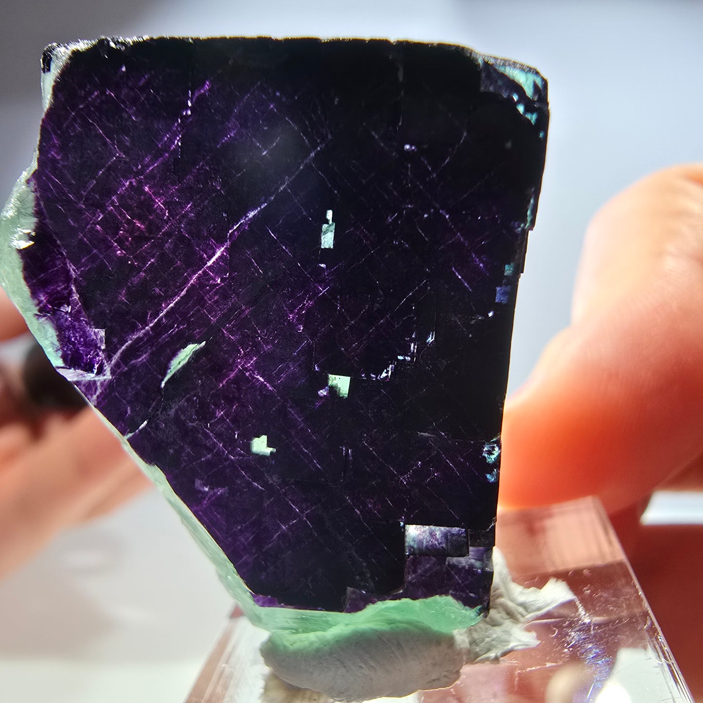Fluorit Würfel Stufe, parkettiert grün lila 11:11 Angel Pocket Okorusu, Namibia 35*31*16mm