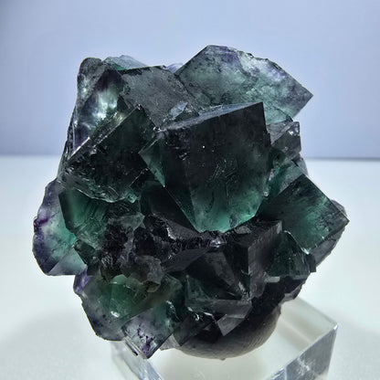 Spécimen rare de cube de fluorite fantôme, vert zonal et violet, Okorusu, Namibie, 50 x 46 x 26 mm 