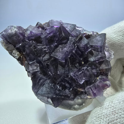 Seltene Phantom Fluorit Würfel Stufe, grün lila Okorusu, Namibia 58*46*16mm