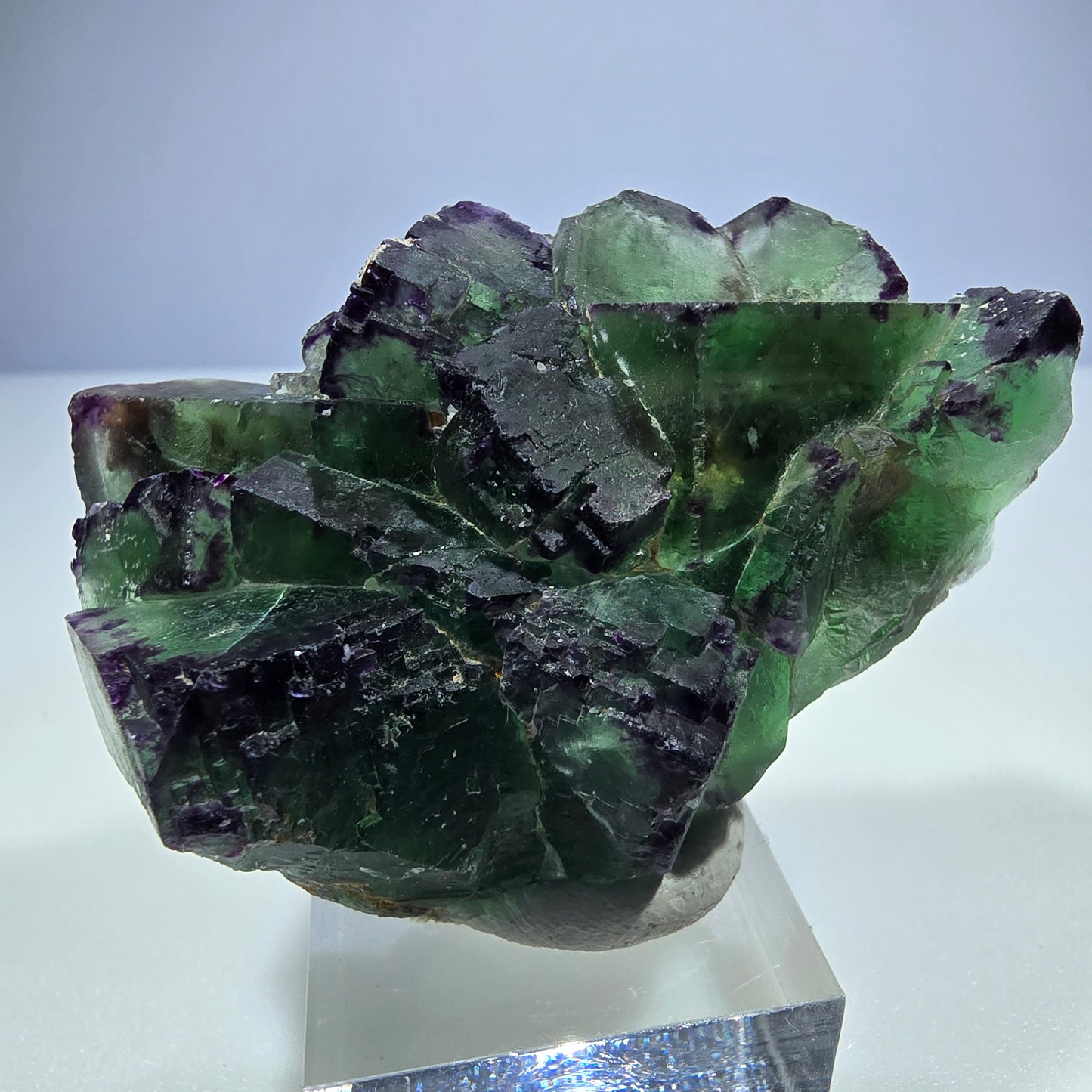 Seltene Phantom Fluorit Würfel Stufe zonal grün lila Okorusu, Namibia 61*41*27mm