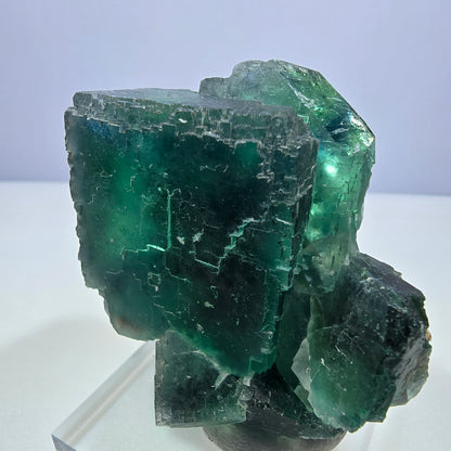 Phantom Fluorit Würfel Stufe parkettiert grün türkis Okorusu, Namibia 65*54*33mm