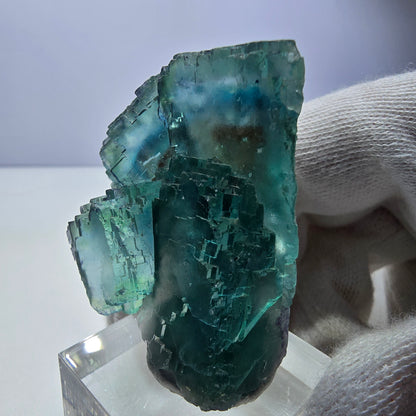 Spécimen de cube de fluorite fantôme, parqueté vert-brun Okorusu, Namibie 48 x 43 x 23 mm 