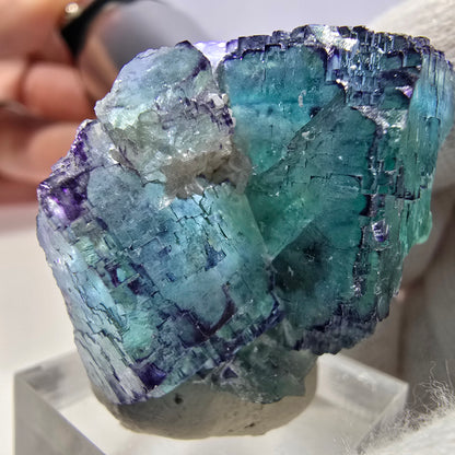 Spécimen de cube de fluorite fantôme parqueté zonal Okorusu, Namibie 39*31*19 mm 
