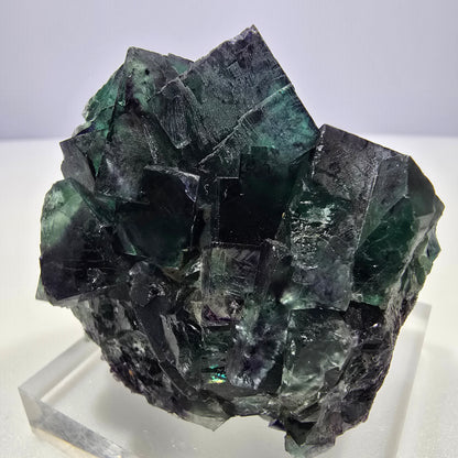 Clear Phantom Fluorite Cube Specimen zonal green purple Okorusu, Namibia 55*40*40mm 