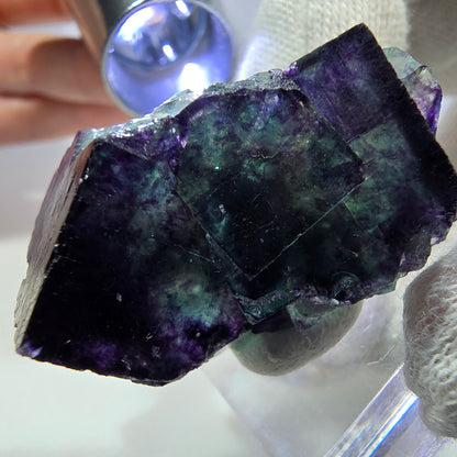 Klare Phantom Fluorit Würfel Stufe zonal grün lila Okorusu, Namibia 41*24*21mm