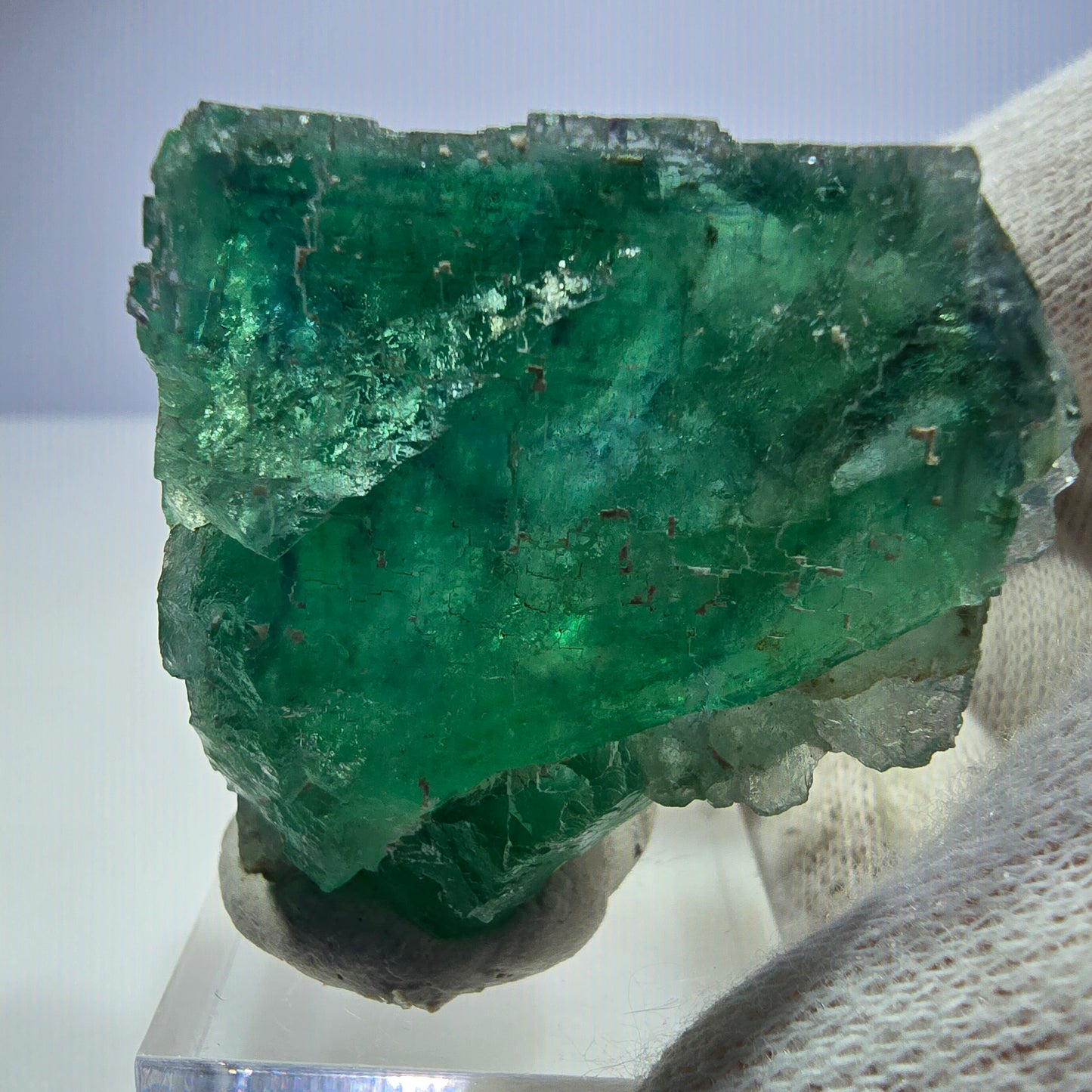 Klarer Phantom Fluorit Würfel parkettiert grün türkis Okorusu Namibia 46*40*24mm