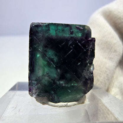 Rare cube de fluorite fantôme, vert violet zonal Okorusu, Namibie 19*20*15 mm 