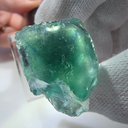 Cube de fluorite fantôme transparent parqueté vert turquoise Okorusu Namibie 33*22*22mm 